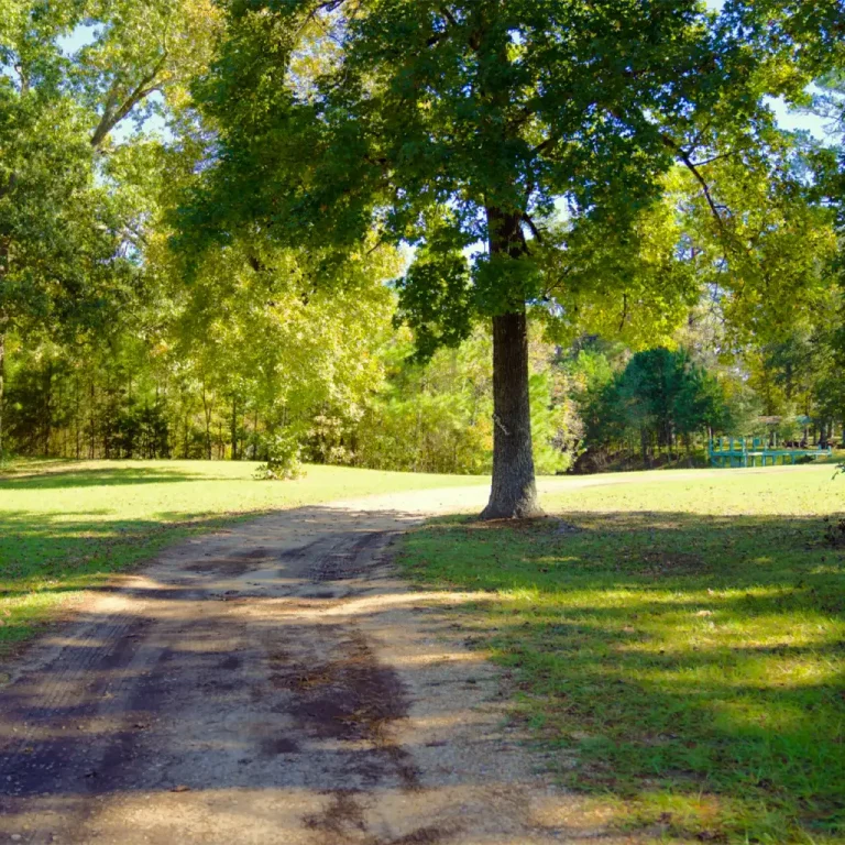 Shaded path through the Twin Lakes property